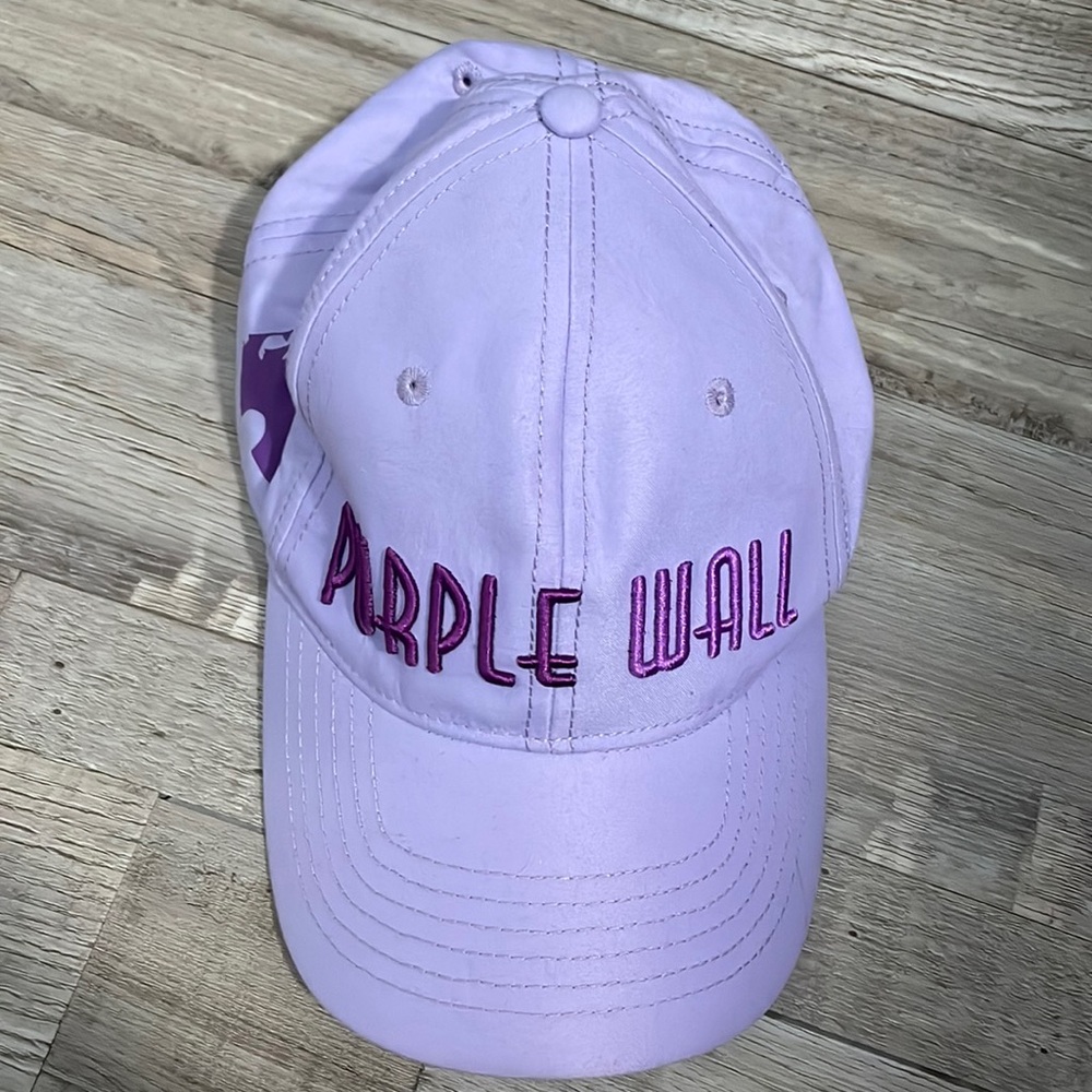 Disney parks meet me at the purple wall Walt disney World baseball hat